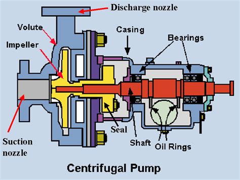 centrifugal pump greasing|centrifugal pump lubrication cycle.